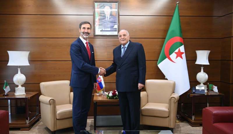 وزير الخارجية يستقبل نظيره السلوفاكي