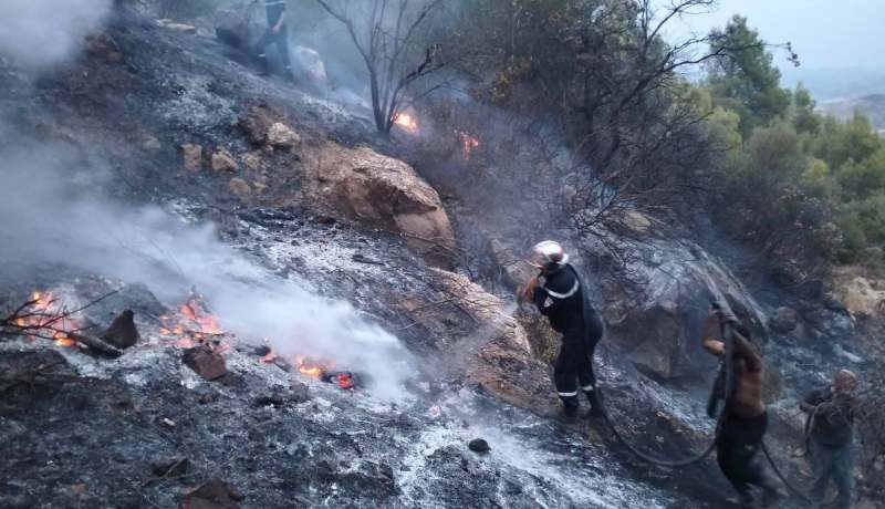إخماد 24 حريقا خلال 24 ساعة الأخيرة