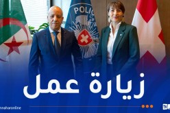 بداوي يستعرض واقع وآفاق التعاون الشرطي مع سويسرا