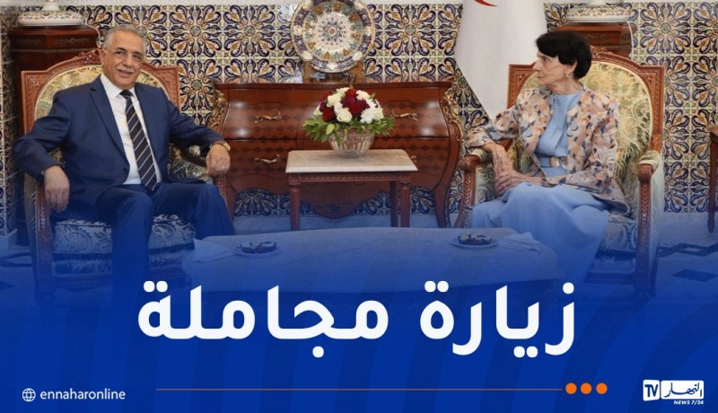 عسلاوي تستقبل رئيس السلطة المستقلة للانتخابات