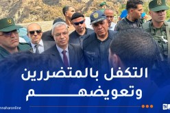 الولاة يواصلون خرجاتهم الميدانية إلى المناطق المتضررة من الحرائق