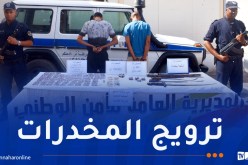 المغير.. توقيف شخصين وضبط 1154 من المؤثرات العقلية