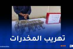 جمارك قسنطينة تحبط محاولة تهريب أكثر من 9 كلغ كيف