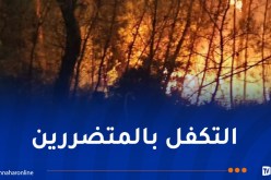إحصاء أضرار الحرائق وتسريع صرف التعويضات