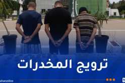 درك وهران يفكك شبكة إجرامية ويحجز قرابة 20 كغ من الكيف