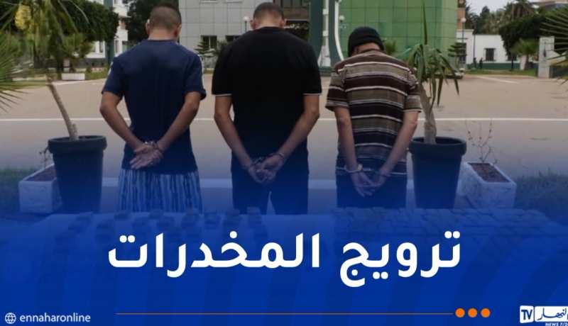 درك وهران يفكك شبكة إجرامية ويحجز قرابة 20 كغ من الكيف