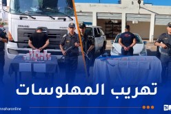 حجز أكثر من 6 آلاف قرص مهلوس بسيدي بلعباس