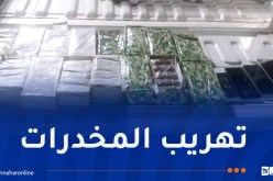 أدرار.. إحباط محاولة تهريب أزيد من 9 كغ كيف