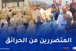 جيجل.. تواصل عملية تعويض الفلاحين ومربي المواشي