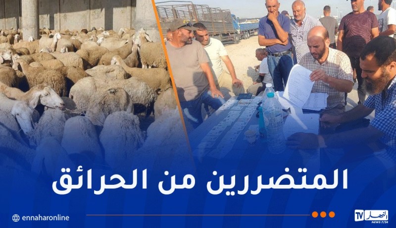 جيجل.. تواصل عملية تعويض الفلاحين ومربي المواشي