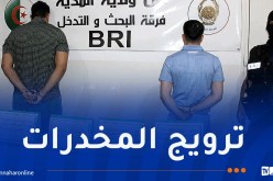 أمن المدية يطيح بشبكة لترويج المخدرات ويحجز قرابة 2 كغ من الكيف 