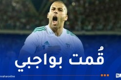 سليماني: “لا أنتظر أي تكريم من الفاف”