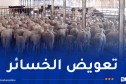 تيزي وزو.. تواصل عملية تعويض المتضررين من حرائق الغابات