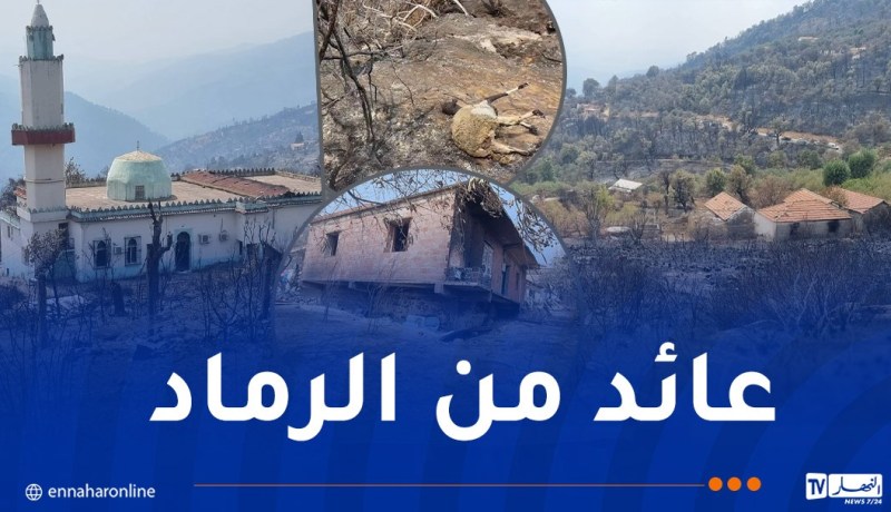 عائد من الرماد.. هكذا ساهمت هواتفنا في إنقاذ الأرواح والتخفيف من وطأة الحرائق