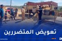 المدية.. تواصل عملية توزيع الأغنام لفائدة الفلاحين المتضررين من الحرائق