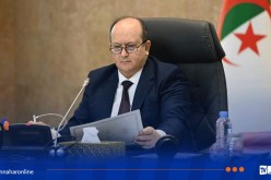 الوزير الأول يترأس إجتماعا للحكومة لدراسة عدد من العروض