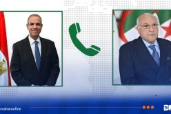 عطاف يتباحث تطور الأوضاع الراهنة عربيا وإفريقيا مع نظيره المصري