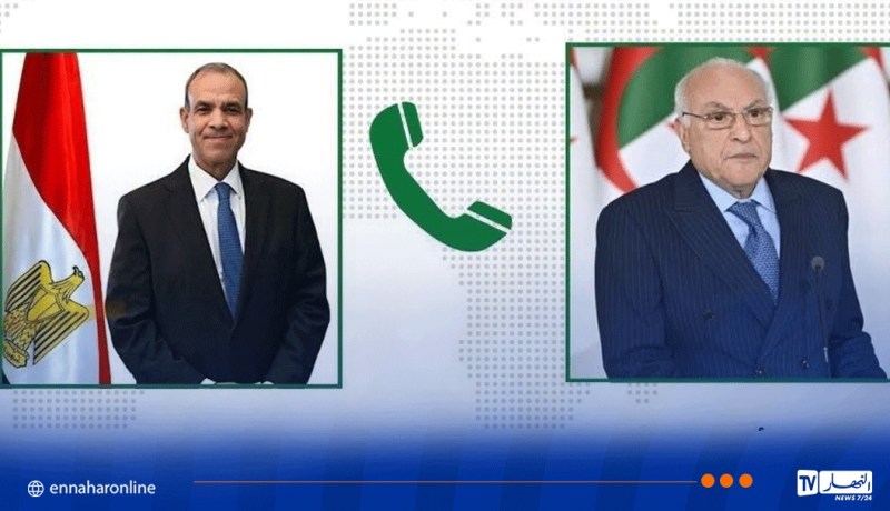 عطاف يتباحث تطور الأوضاع الراهنة عربيا وإفريقيا مع نظيره المصري