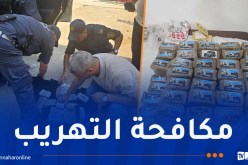 توقيف 7 أشخاص وحجز أكثر من 61 كلغ مخدرات في الشلف