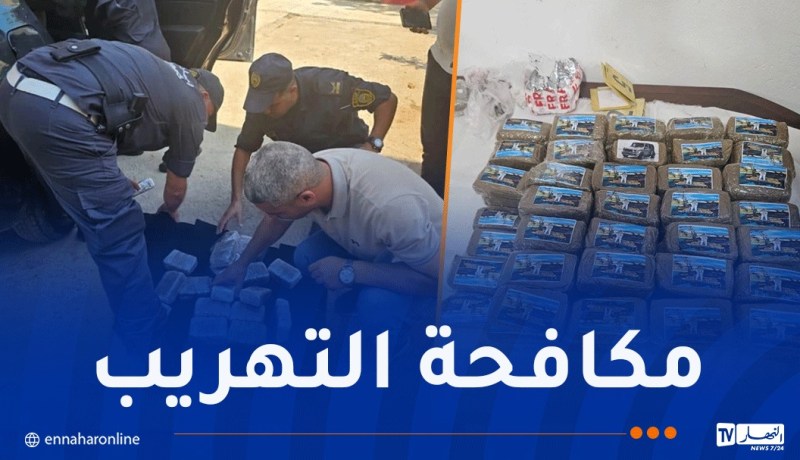 توقيف 7 أشخاص وحجز أكثر من 61 كلغ مخدرات في الشلف