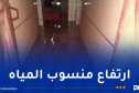 تقلبات جوية.. امتصاص مياه الأمطار وتحرير مركبات عالقة بسعيدة وتيبازة