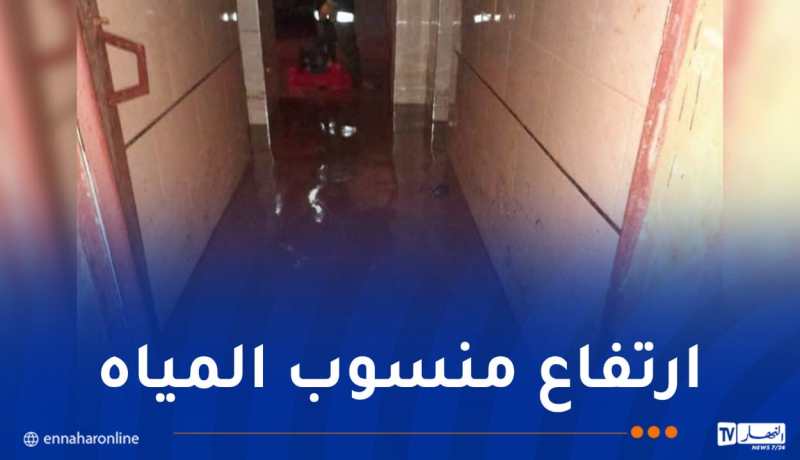 تقلبات جوية.. امتصاص مياه الأمطار وتحرير مركبات عالقة بسعيدة وتيبازة