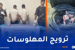 جمارك المسيلة تحجز 1075 قرص بريغابالين