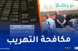 توقيف 38 تاجر مخدرات وإحباط إدخال قنطارين من “الكيف” و58 كلغ “كوكايين”