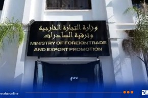 مالي تستقبل أولى صادرات الأجهزة الكهرومنزلية الجزائرية.. التجارة تفتح مساراً جديداً في العلاقات الاقتصادية