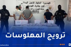 المدية.. تفكيك شبكة إجرامية وضبط أكثر من 12 ألف قرص مهلوس