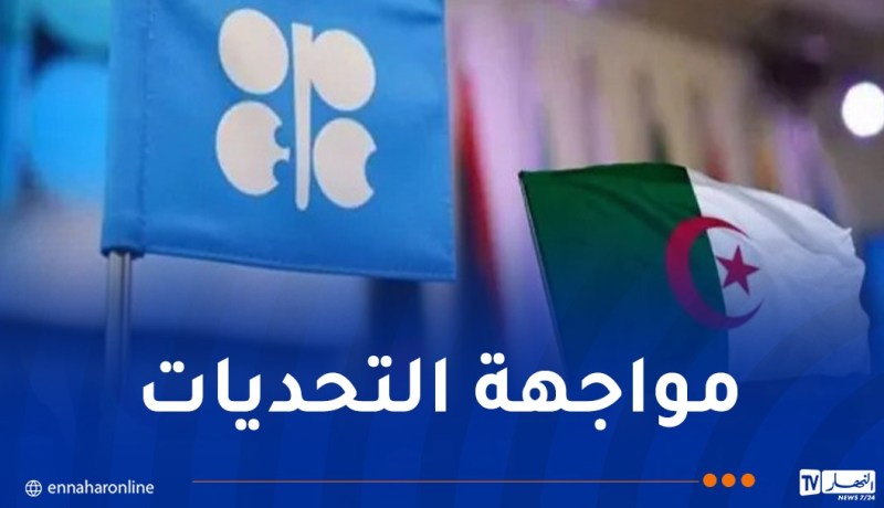 اتفاق الجزائر ضمن منظمة أوبك “نقطة تحوّل استراتيجية” في سوق النفط العالمية