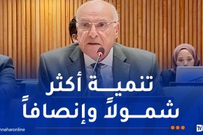 عطاف: الجزائر ملتزمة بدعم مبادرة التنمية العالمية