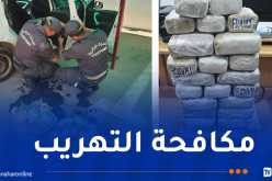حجز أكثر من 20 كلغ مخدرات بالشلف