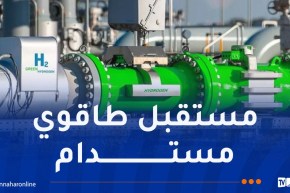 مشروع الممر الجنوبي للهيدروجين: الجزائر تحتضن الاجتماع الوزاري الثاني لوزراء الطاقة لـ4 دول