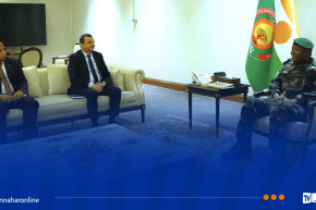 وزير المحروقات يُستقبل من طرف رئيس جمهورية النيجر