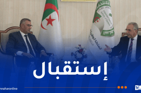 ساعد عروس يستقبل المدير العام لوكالة الأنباء الجزائرية