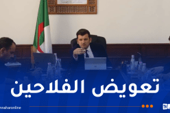وزير الفلاحة يترأس اجتماعا لتعويض الفلاحين والمربين المتضررين جراء الحرائق