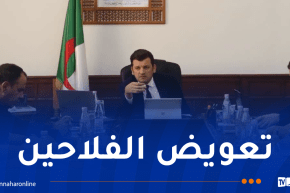 وزير الفلاحة يترأس اجتماعا لتعويض الفلاحين والمربين المتضررين جراء الحرائق