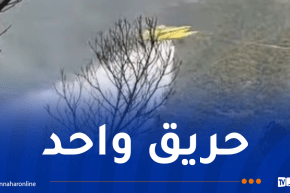 هذه الحالة العامة للحرائق عبر الوطن