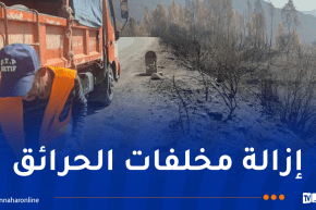 جيجل.. تواصل عمليات إزالة آثار الحرائق بشبكة الطرقات