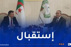 عروس يستقبل رئيس التجمع من أجل الثقافة والديمقراطية