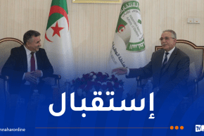 عروس يستقبل رئيس التجمع من أجل الثقافة والديمقراطية