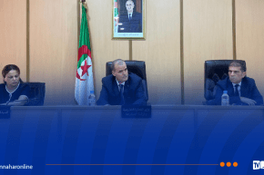رزيق يبحث توسيع تصدير الإسمنت الجزائري