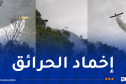 أكثر من 32 طلقة جوية مائية… الجيش في الصفوف الأولى لإخماد نيران جبل بوطالب بسطيف