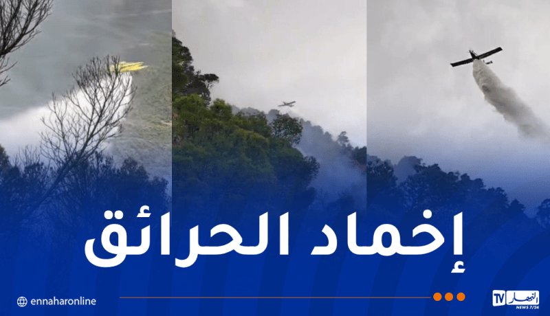أكثر من 32 طلقة جوية مائية… الجيش في الصفوف الأولى لإخماد نيران جبل بوطالب بسطيف