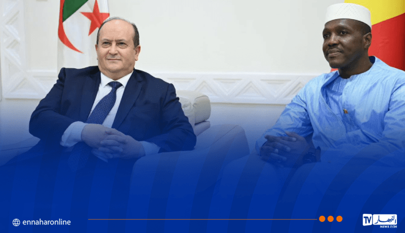 الوزير الأول يتحادث مع نظيره المالي بباماكو