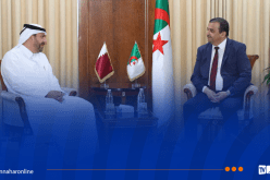 عرقاب يبحث تعزيز الشراكة بين سوناطراك و”UCC Holding” القطرية
