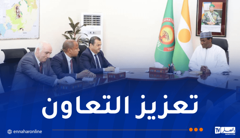 وزير المحروقات يُستقبل من طرف الوزير الأول لجمهورية النيجر