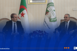عروس يستقبل رئيس حزب جيل جديد