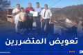 الحرائق.. الانتهاء من تعويض السكنات والأثاث المنزلي والتجهيزات الكهرومنزلية ببجاية